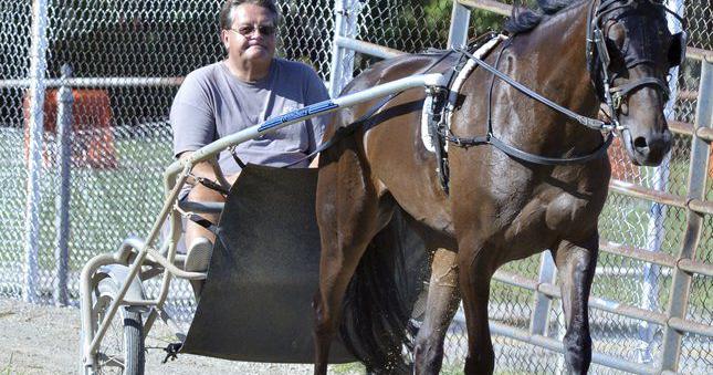 Harness racing sure to draw a crowd at fair Amish buggy racing will add ...