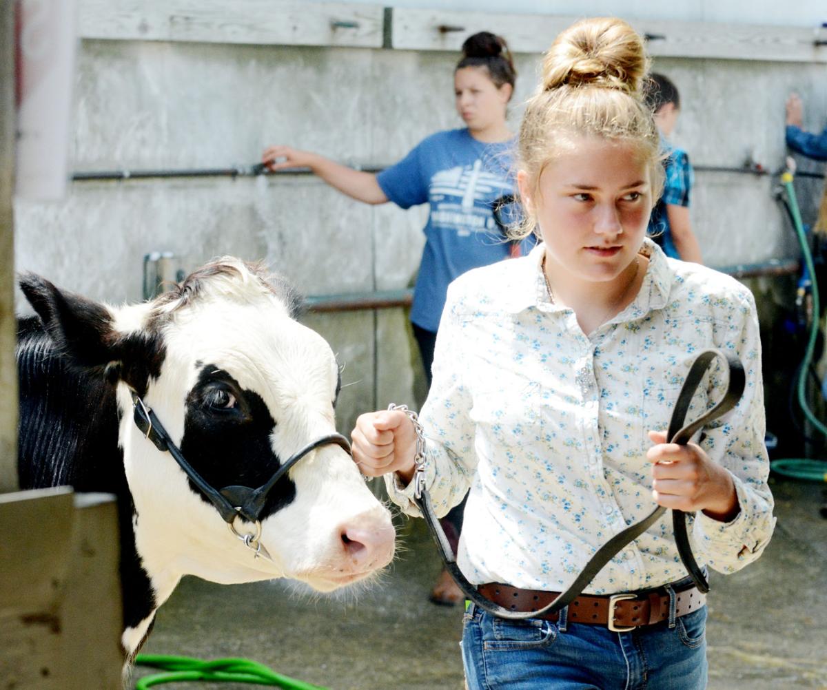 0806 fair starts today 7