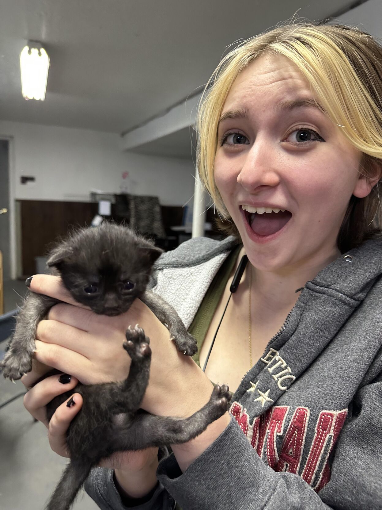 Kittens petsmart clearance