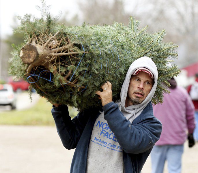 Ashtabula County tree farms ready for Christmas Local News
