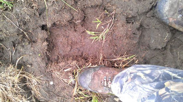 Woman Reports Bigfoot Sighting In Saybrook Township Local News