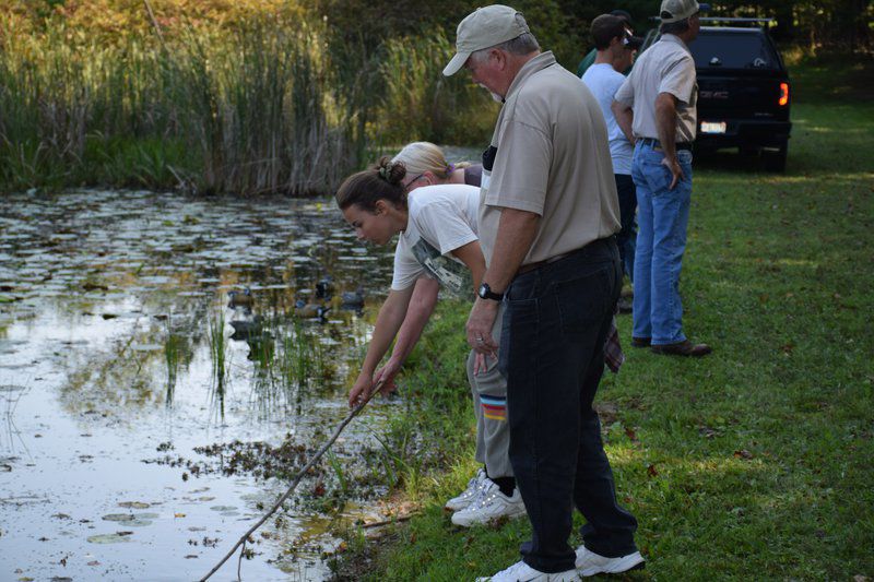 Hundreds tour 2019 Ohio Tree Farm of the Year Local News