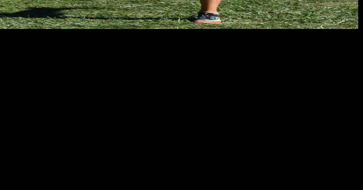 Six county cross country runners qualify for state | Sports ...
