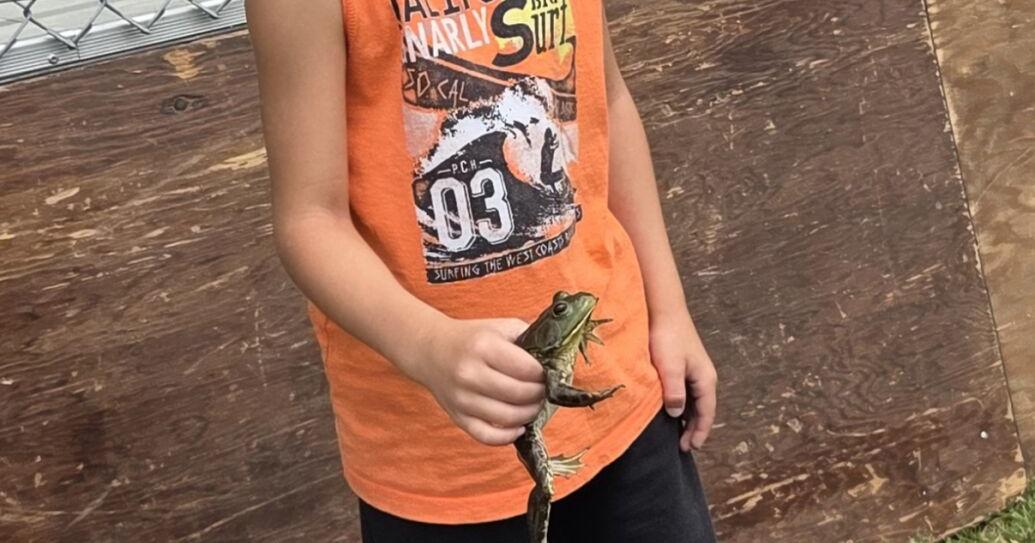 Frogs to jump at the Ashtabula County Fair