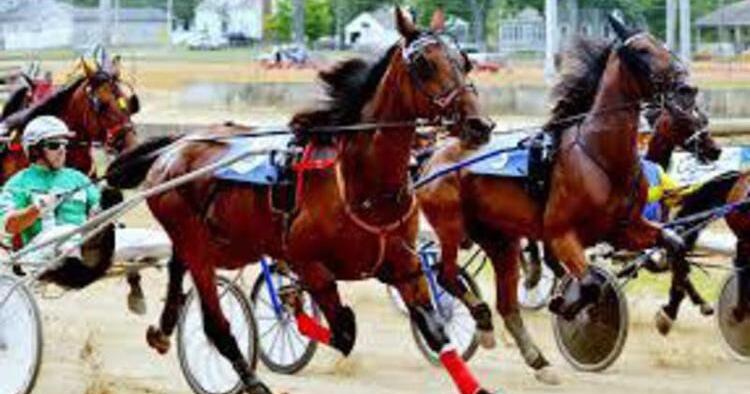 Harness racing brings excitement to the fair | News | starbeacon.com