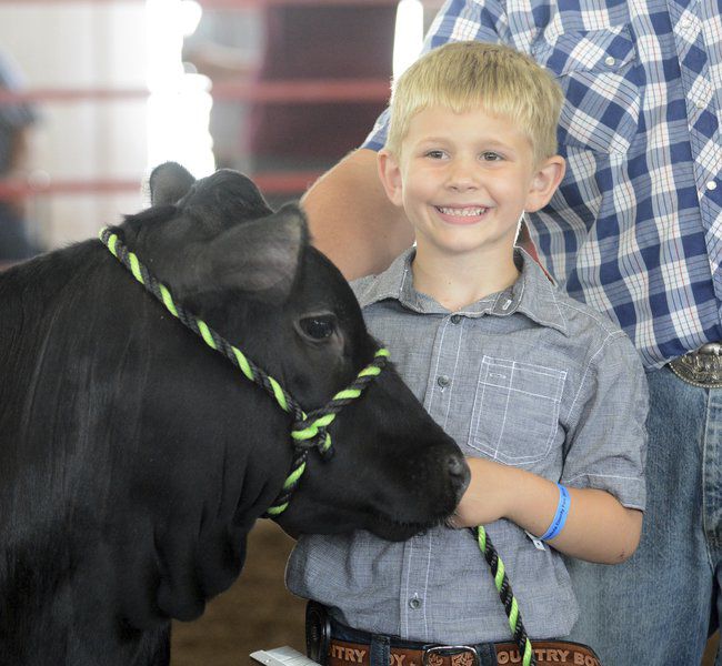 Rooster crowing, harness racing, monster trucks and sunny skies draw crowds to Day 3 of Ashtabula County Fair