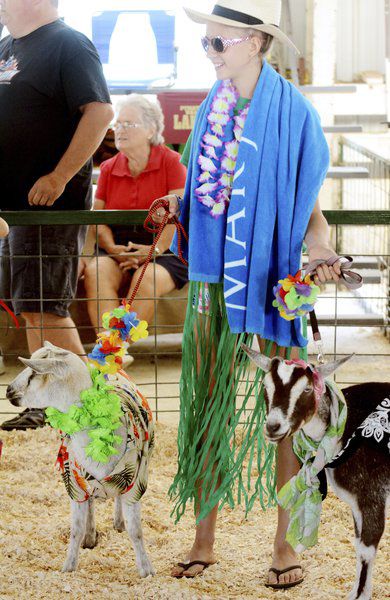 Sunny weather draws visitors to Ashtabula County Fair