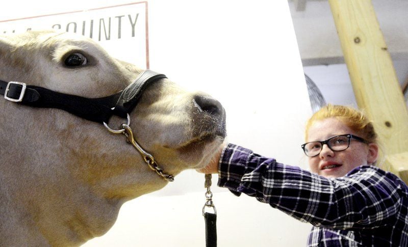 Hundreds of 4-Hers participate in the Ashtabula County Fair Market Animal Sale