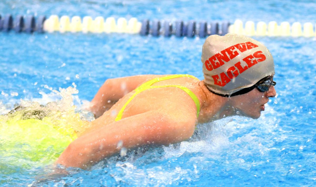 0208 sectional swimming 13