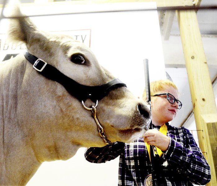 Hundreds of 4-Hers participate in the Ashtabula County Fair Market Animal Sale