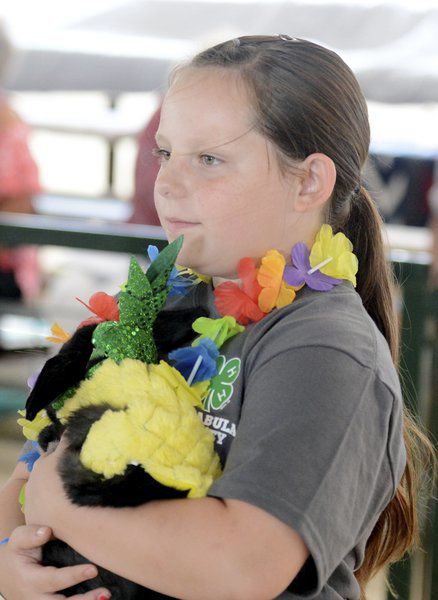 Sunny weather draws visitors to Ashtabula County Fair