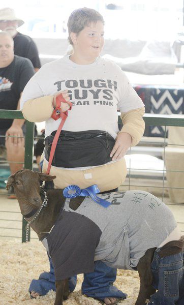 Sunny weather draws visitors to Ashtabula County Fair