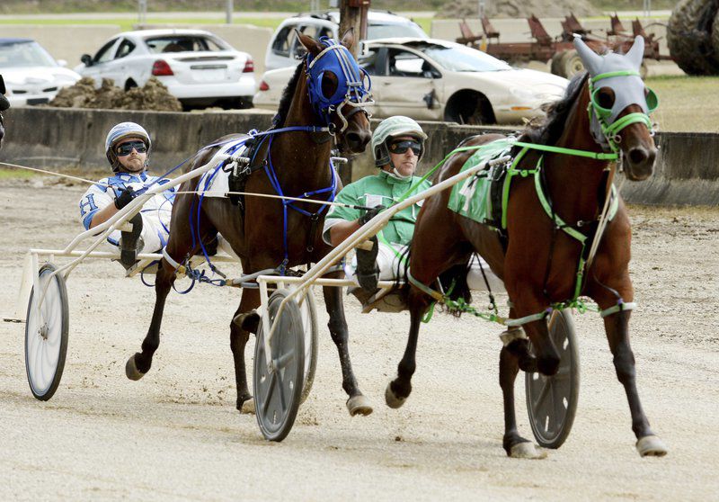 Rooster crowing, harness racing, monster trucks and sunny skies draw crowds to Day 3 of Ashtabula County Fair