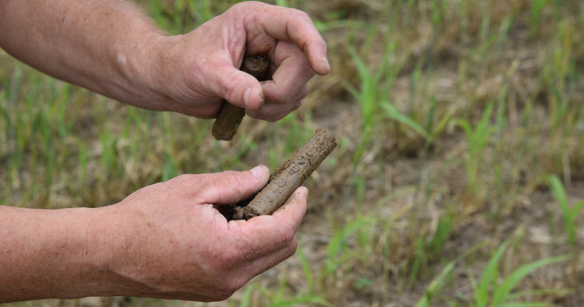 Indiana farmers can join no-cost Mississippi River Basin soil sampling program