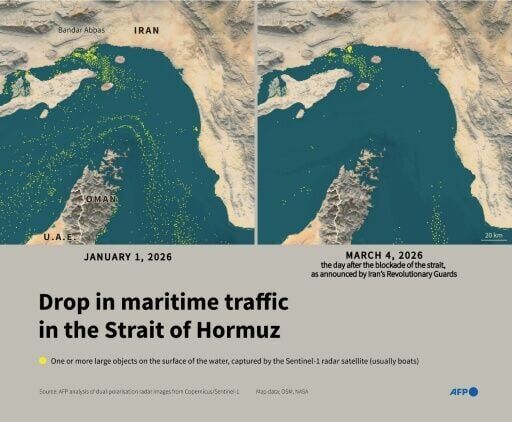 Commercial ships crossing Strait of Hormuz