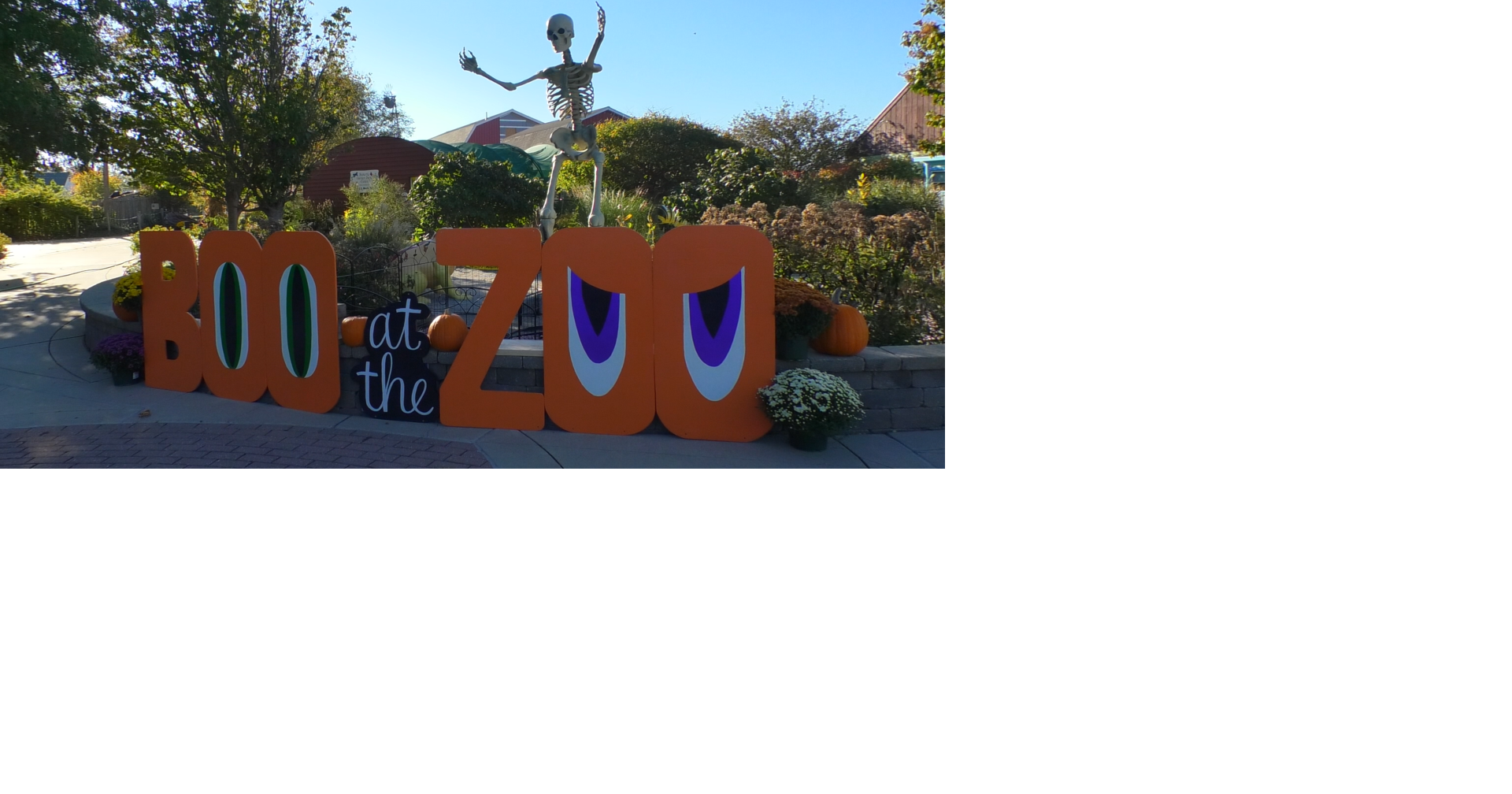 Boo at the Zoo to host family friendly games, activities all weekend ...