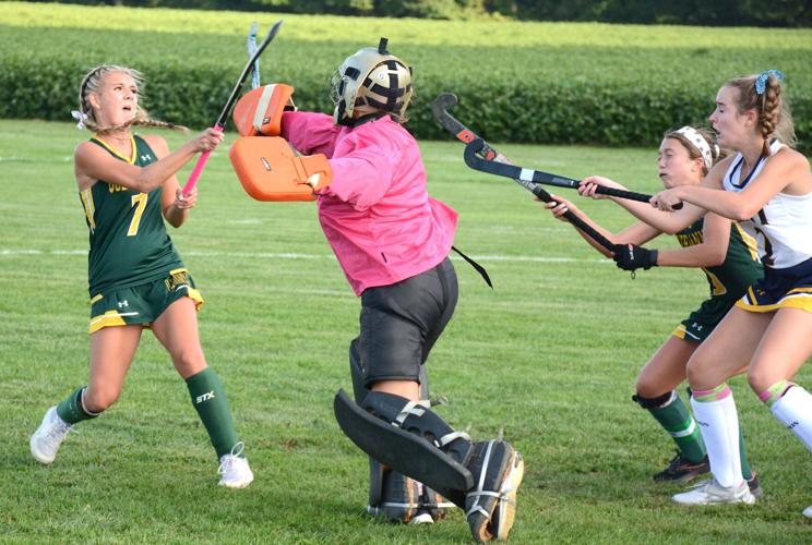 Top-Ranked Field Hockey Celebrates Senior Day With 6-0 Victory - University  of North Carolina Athletics