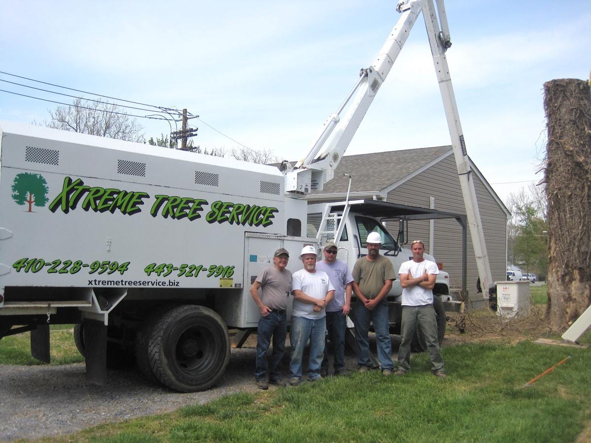 Xtreme Tree Service assists Habitat Choptank Real Estate