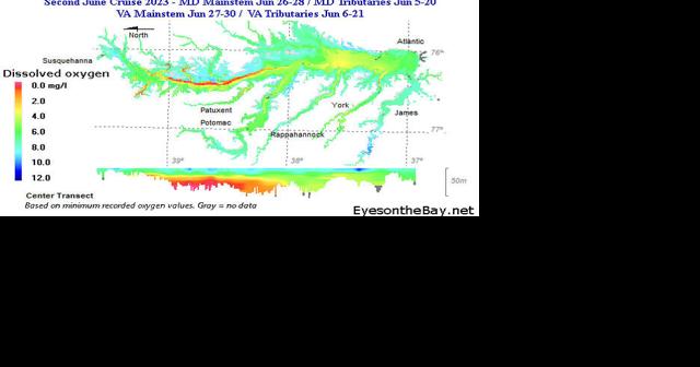 Dissolved oxygen conditions in the Bay among best ever recorded - Vimarsana News
