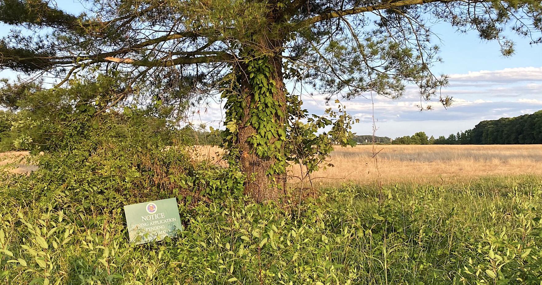 Continuance granted for Poplar Hill growth allocation request - Vimarsana News