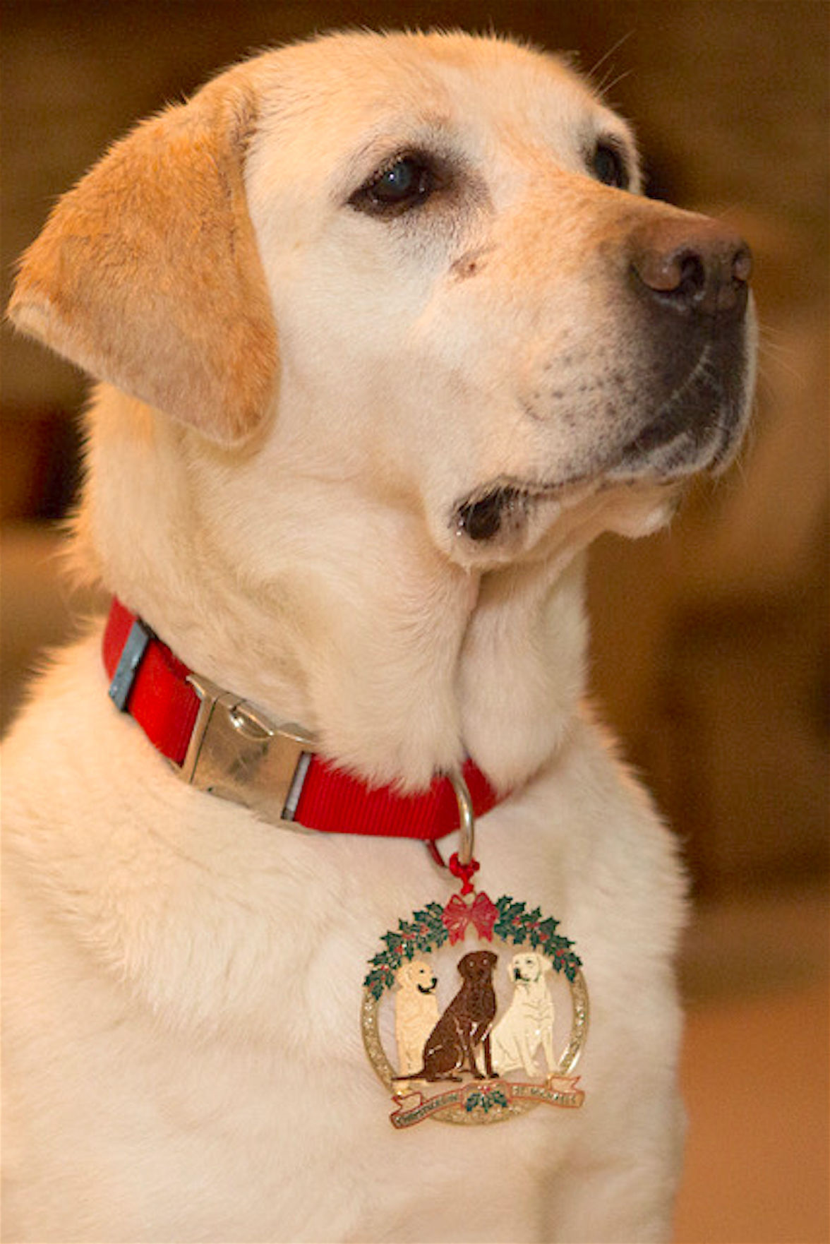 2017 christmas in st michaels ornament celebrates working dogs of the chesapeake - Christmas In St Michaels 2017 christmas in st michaels ornament celebrates working dogs of the chesapeake - Christmas In St Michaels