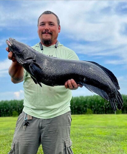 Local man catches record-breaking fish