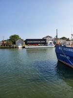 Final push to increase Census participation