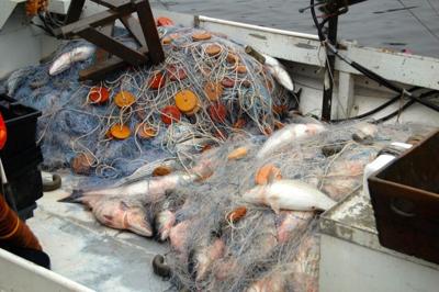 Watermen of the Chesapeake Bay