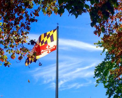 State Flag