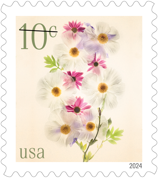 U S Postal Service Unveils 2024 Stamps Slideshow Photos Stardem Com   654538ec701b8.image 