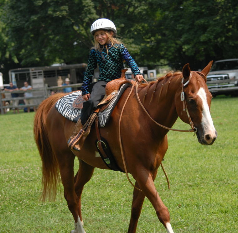 Photo Gallery Horse Show at CarolineDorchester County Fair