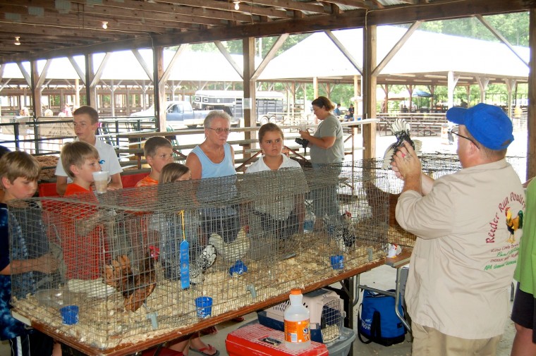 Talbot County Fair Poultry Show Photos