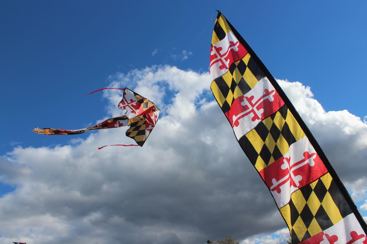 Kites soar at Cambridge waterfront Spotlight