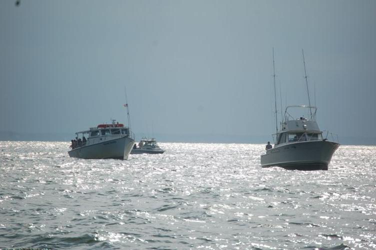 Kids get hooked on Tilghman Family Fishing Tournament Local