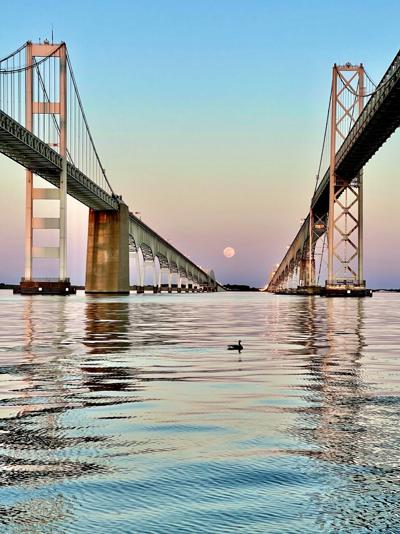 Smaller Bay dead zone forecast for summer | Environment | stardem.com