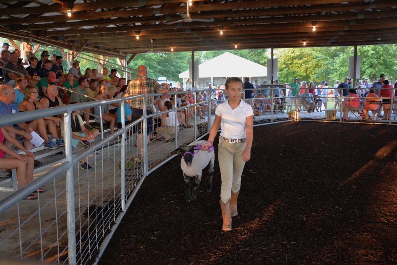 Despite heat wave, Kent County Fair a success Local