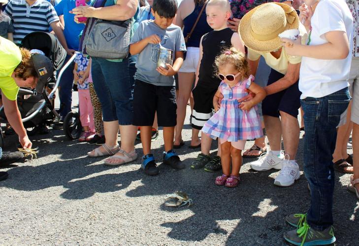 St. Mary's Crab Festival returns this weekend Life