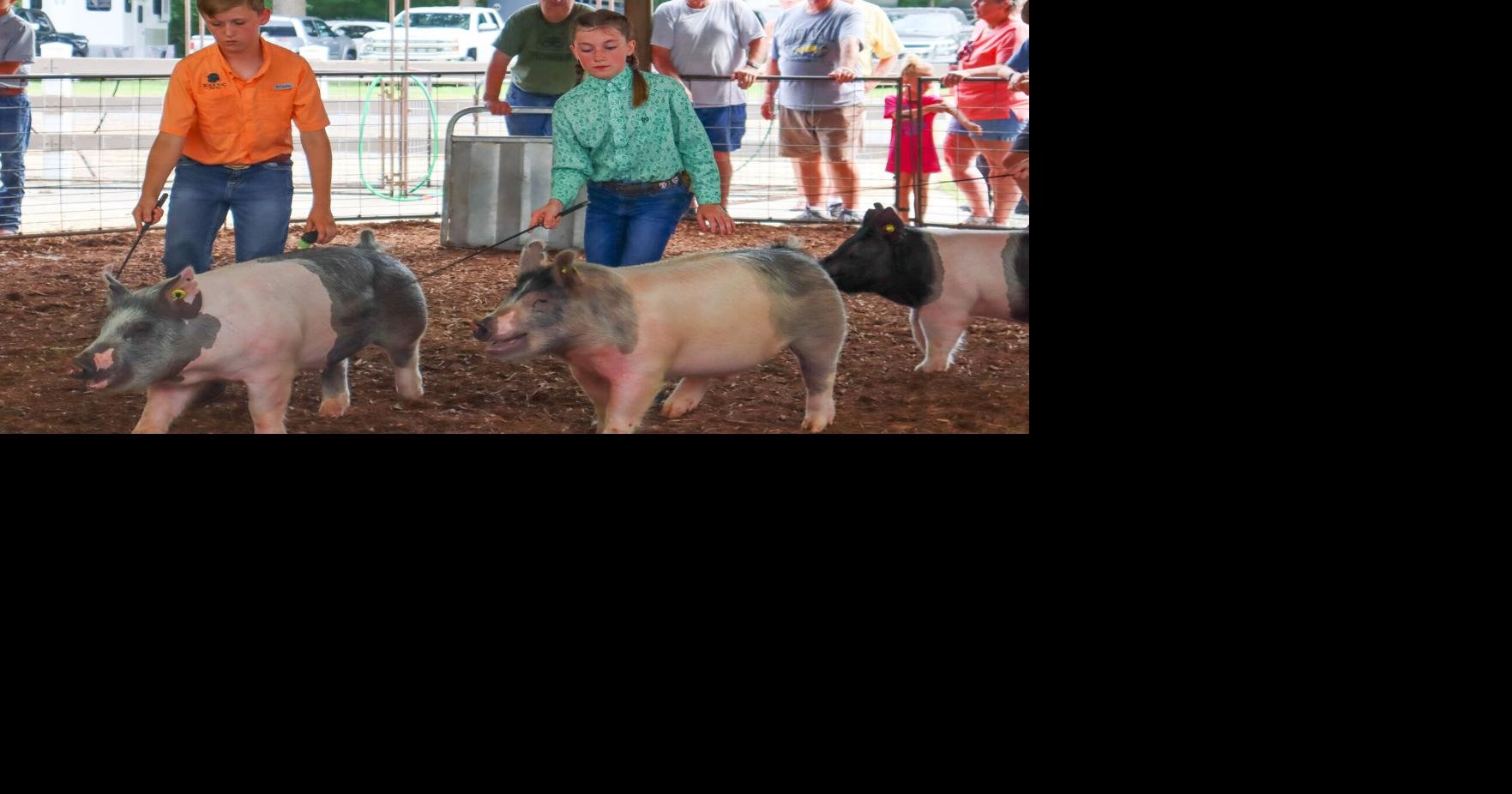 Talbot County Fair celebrates 40 years Local