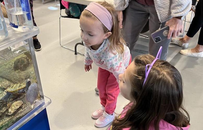 Sultana's Toddler Times returns with 'Ravin' Reptiles' | | stardem.com