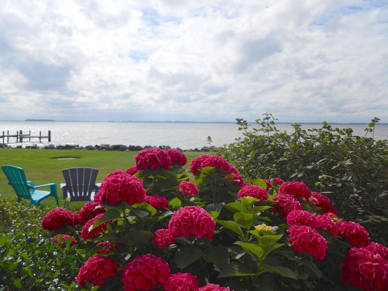 Kent Island Gardens by the Sea tour planned Business