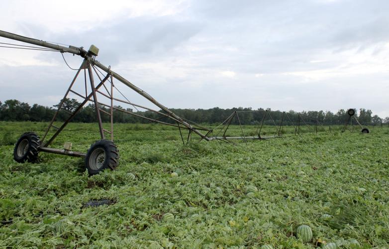 Tornado touches down near Hurlock Local