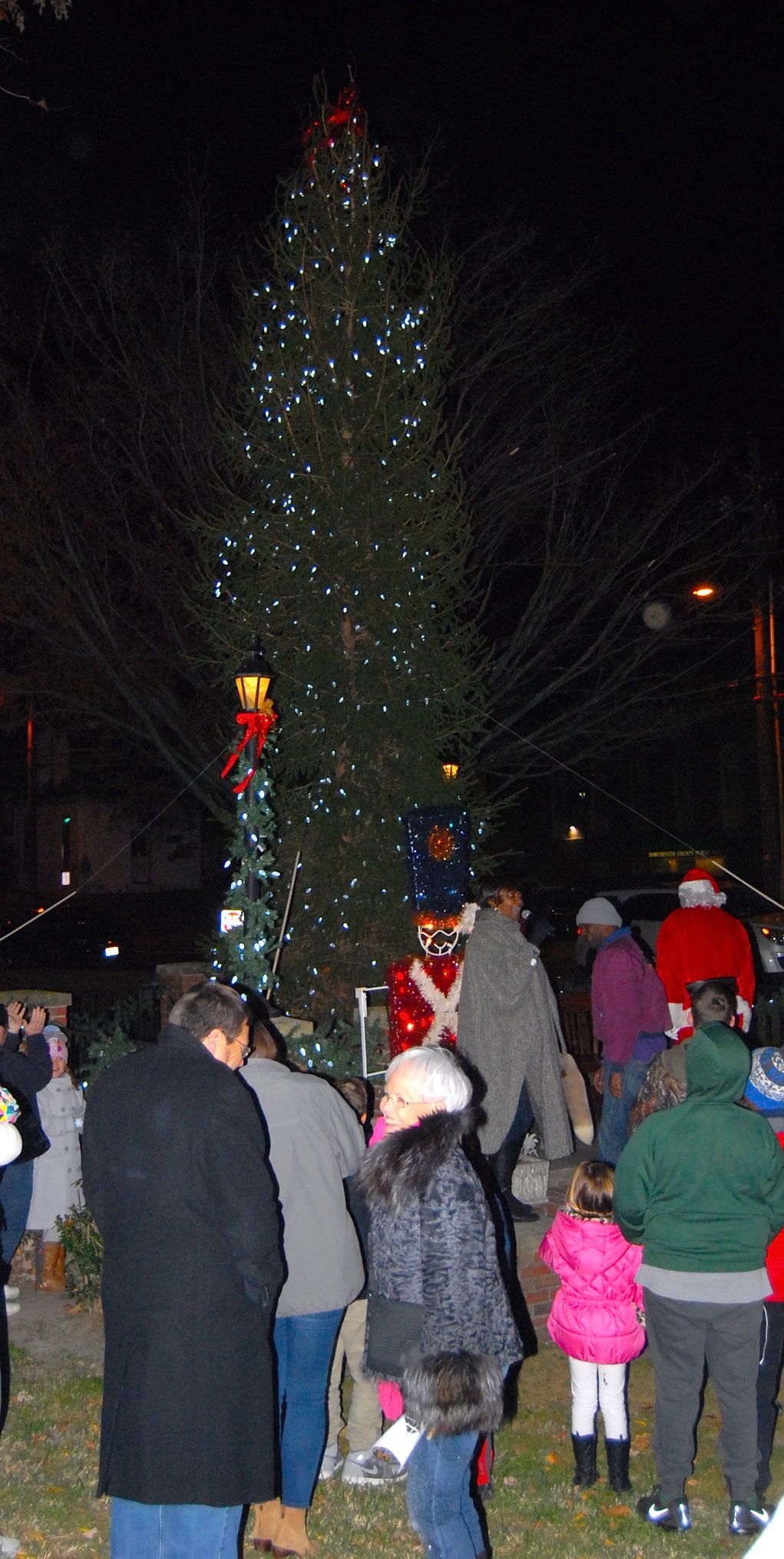 Cambridge celebrates annual Christmas tree lighting Christmas