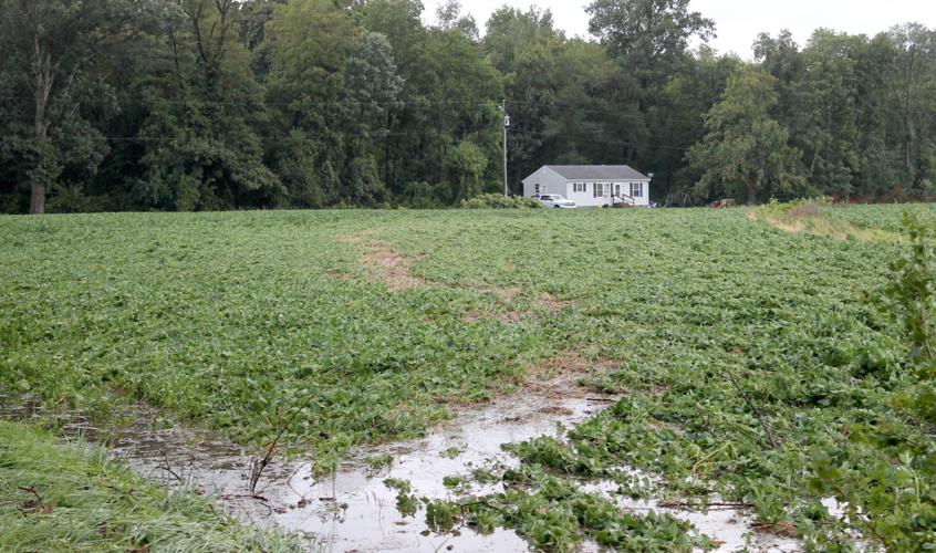 Tornado touches down near Hurlock Local