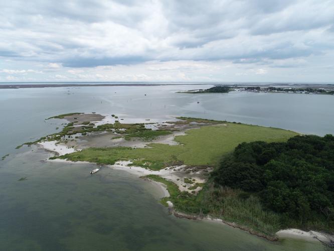 Swan Island 2022