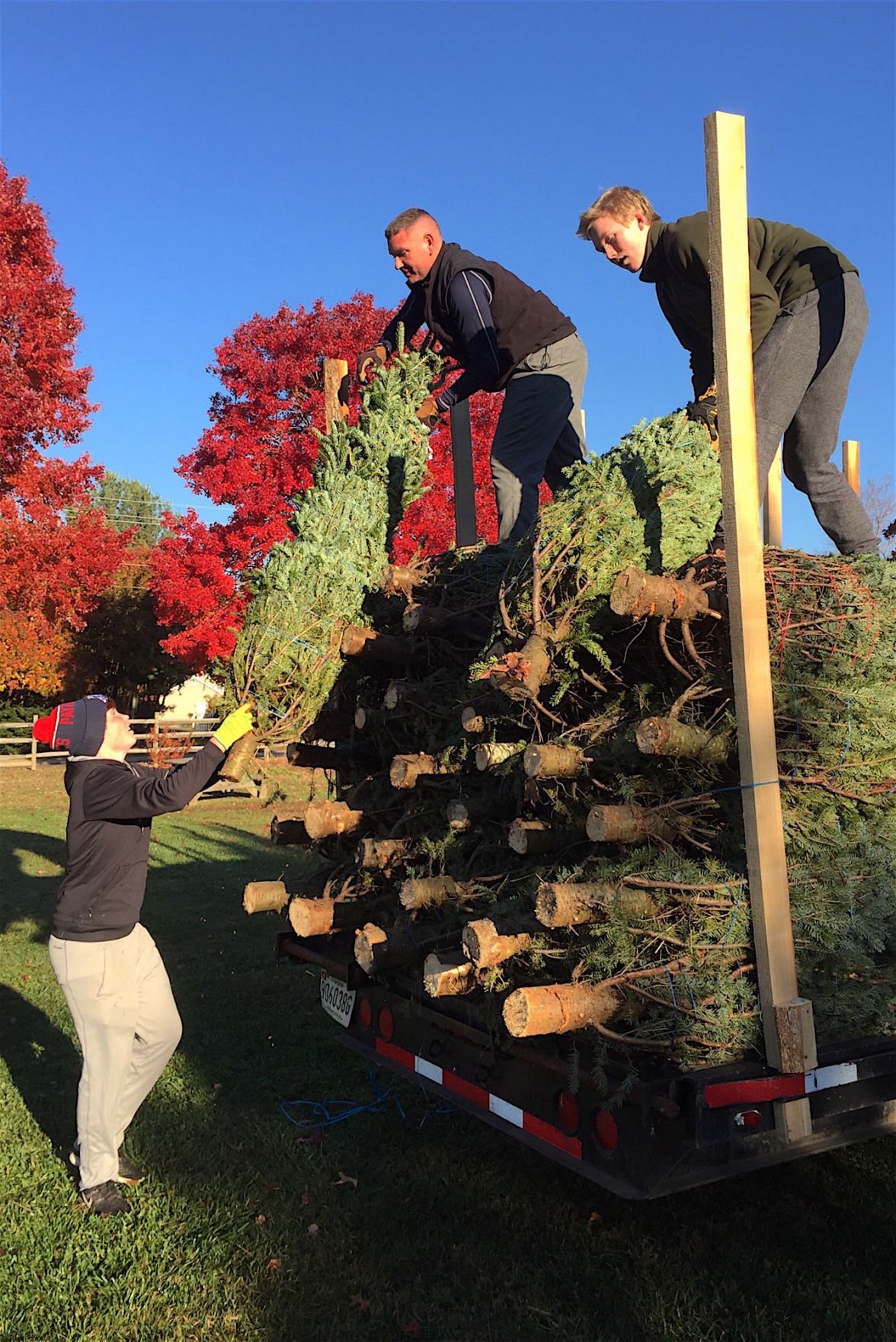 talbot optimist christmas tree sales begin life talbot optimist christmas tree sales begin life