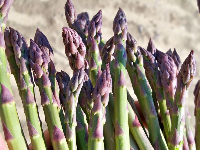 Asparagus season signifies spring is on its way Local