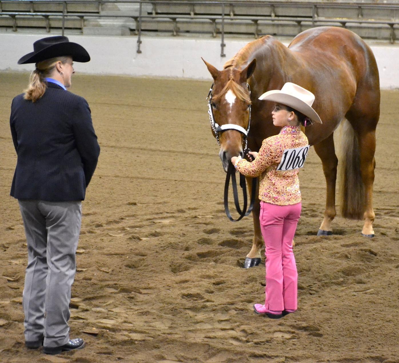 Quarter Horse Congress celebrates 50 years Local