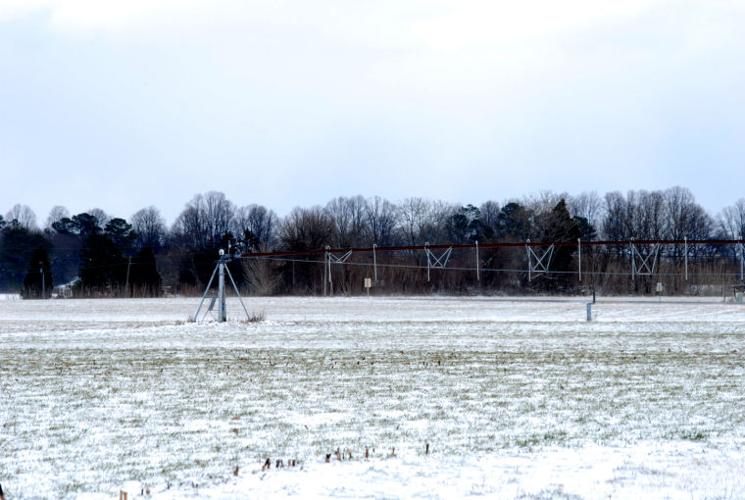 Preston Snow Photos News