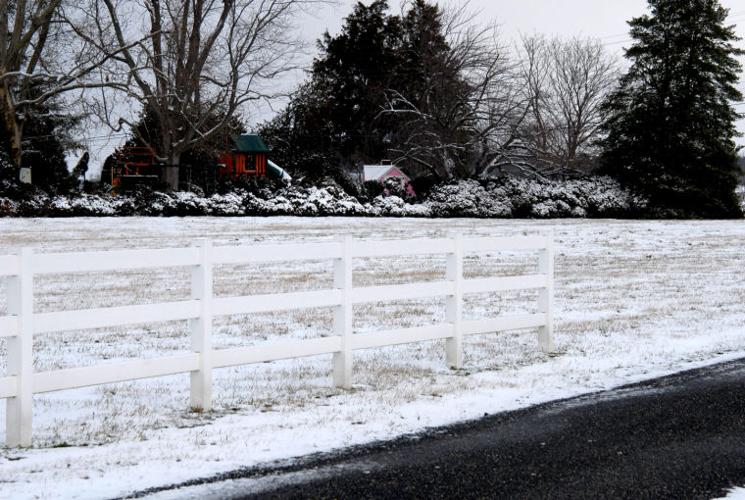 Preston Snow Photos News