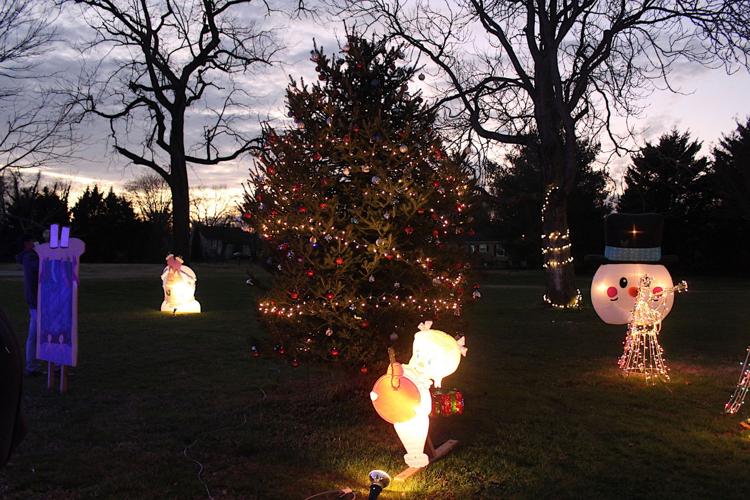 Whoville Village Holiday Park Photos